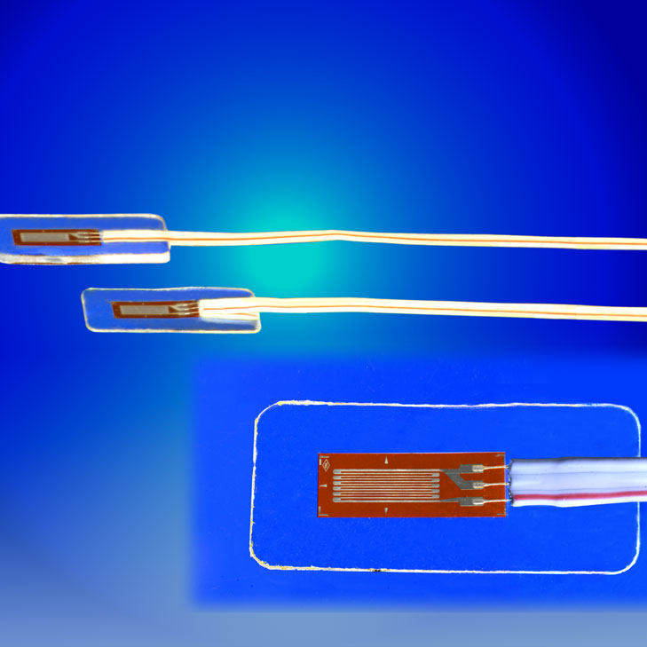 Waterproof strain gauge
